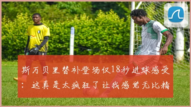 斯万贝里替补登场仅18秒进球感受：这真是太疯狂了让我感觉无比精彩